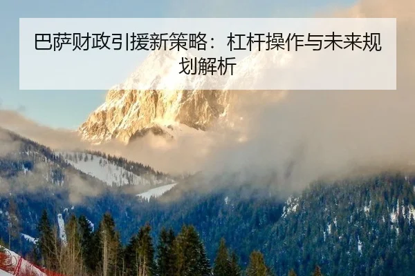 ba-sa-cai-zheng-yin-yuan-xin-ce-lve-gang-gan-cao-zuo-yu-wei-lai-gui-hua-jie-xi-2-565.jpg